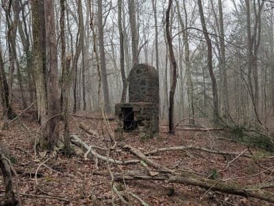 Nehantic State Forest