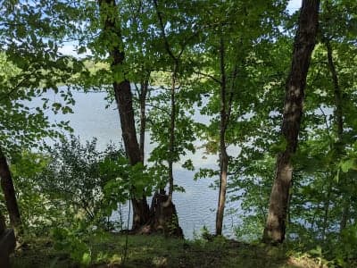 Newton Lake State Fish & Wildlife Area