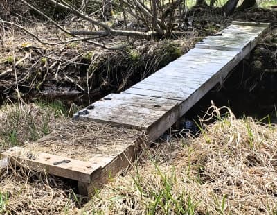 Newton Blackmour State Trail
