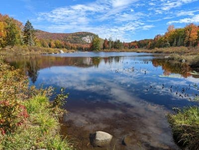New Discovery State Park