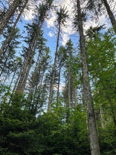 New Discovery State Park