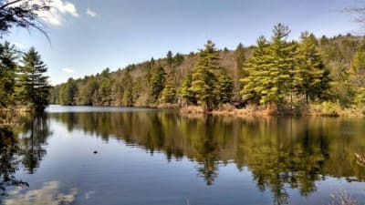 Nipmuck State Forest