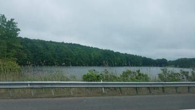 Nipmuck State Forest