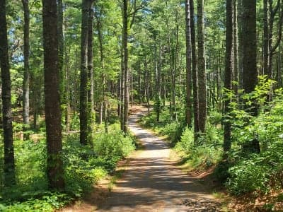 Nickerson State Park