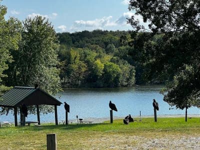 Nine Eagles State Park