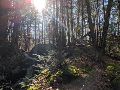 Nipmuck State Forest