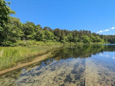 Nickerson State Park