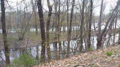 Northern Recreational Rail Trail