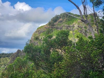Nounou Forest Reserve / Kuamoʻo-Nounou Trail