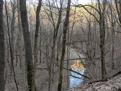 O'Bannon Woods State Park