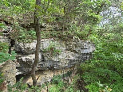O'Bannon Woods State Park