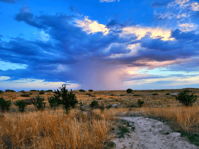 Oasis State Park