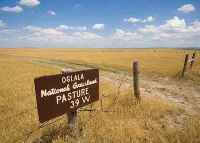 Oglala National Grassland