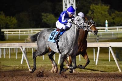Oklahoma River Horse Park