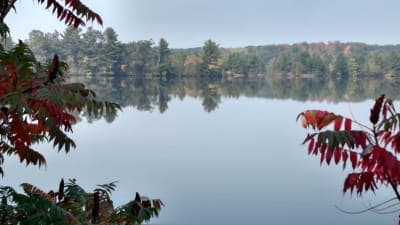 Old Abe State Trail