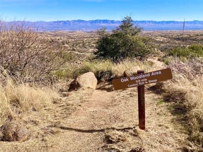 Oracle State Park