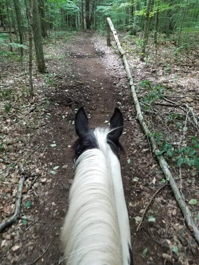 Otter Creek Horse Trails & Campground