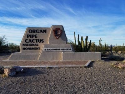Organ Pipe Cactus National Monument