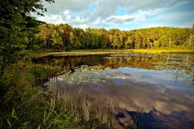 Otter River State Forest