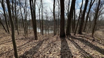 Ortonville Recreation Area