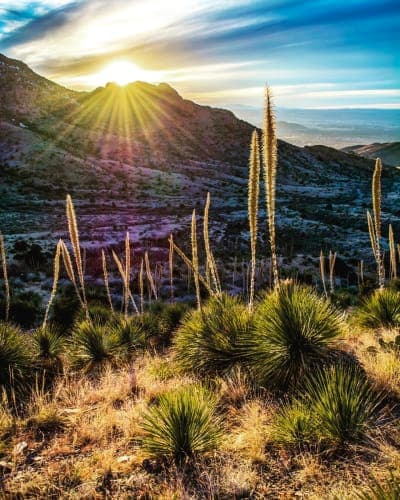 Organ Mountains-Desert Peaks National Monument