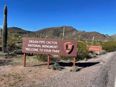Organ Pipe Cactus National Monument