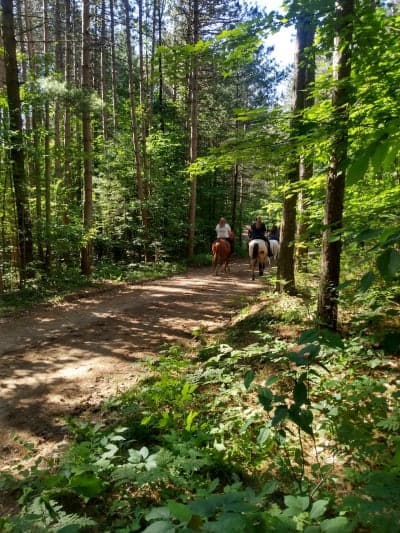 Otter Creek Horse Trails & Campground