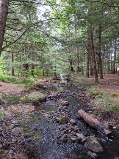 Otter River State Forest