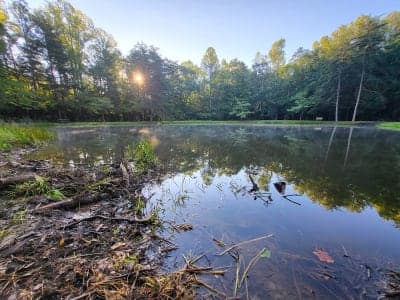 Owen-Putnam State Forest