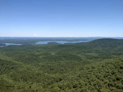 Ouachita National Forest