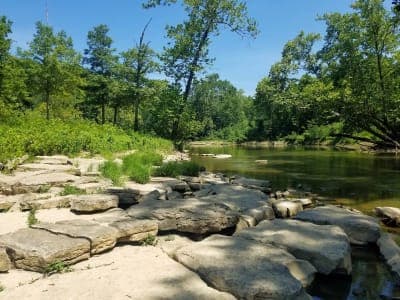 Owen-Putnam State Forest