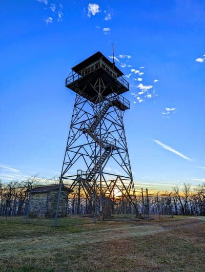 Ouachita National Forest