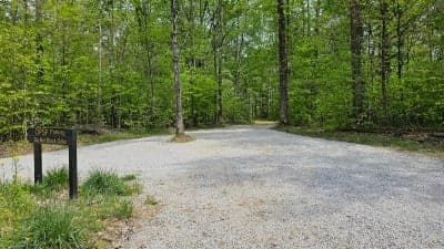 Owen-Putnam State Forest
