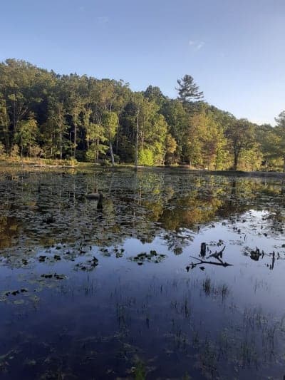 Pandapas Pond Day Use Area / Poverty Creek Trail System