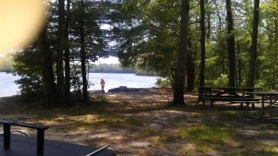 Pachaug State Forest