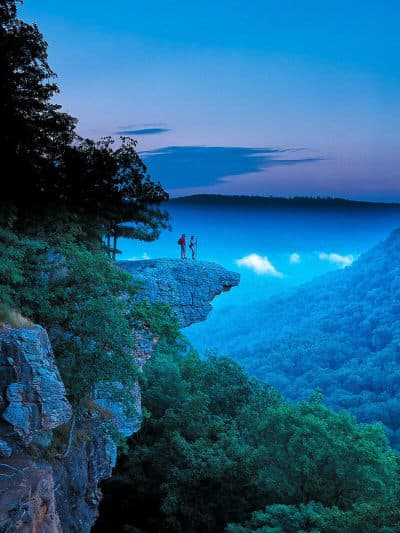 Ozark-St. Francis National Forests