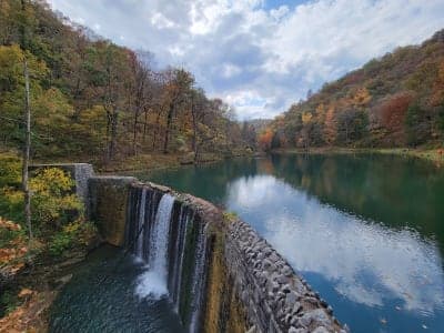 Ozark-St. Francis National Forests
