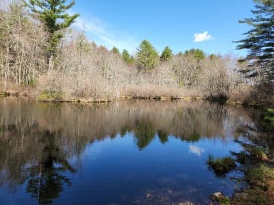 Pachaug State Forest