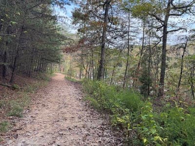 Pandapas Pond Day Use Area / Poverty Creek Trail System