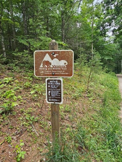 Pandapas Pond Day Use Area / Poverty Creek Trail System