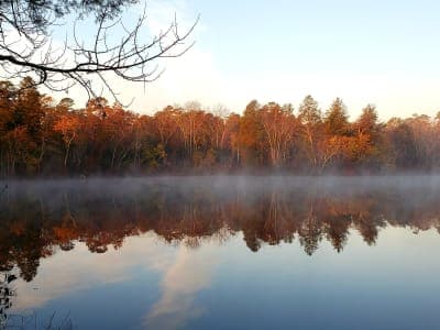 Parvin State Park