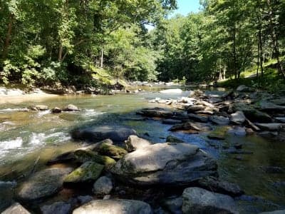 Patapsco Valley State Park - McKeldin Area