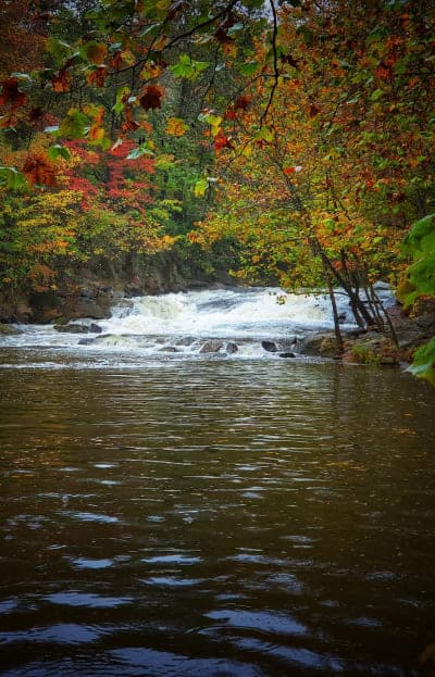 Patapsco Valley State Park - McKeldin Area