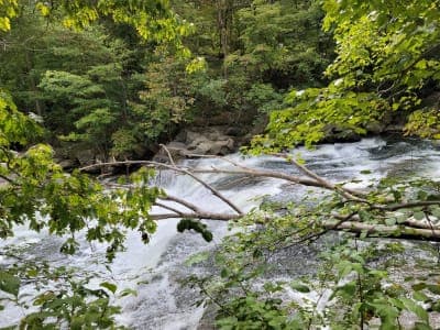 Patapsco Valley State Park - McKeldin Area