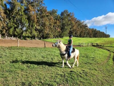 Paniolo Adventures at Ponoholo Ranch