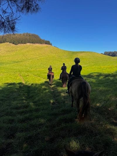 Paniolo Adventures at Ponoholo Ranch
