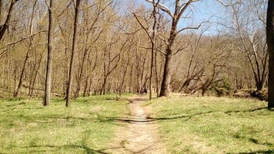 Patapsco Valley State Park - McKeldin Area