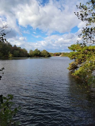Parvin State Park