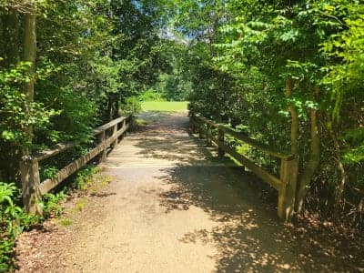 Parvin State Park