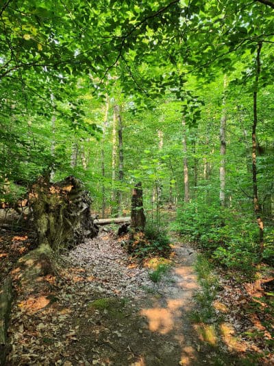 Patuxent Research Refuge - North Tract